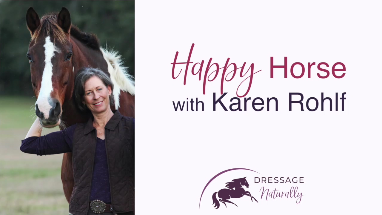 Happy Horse Karen Rohlf