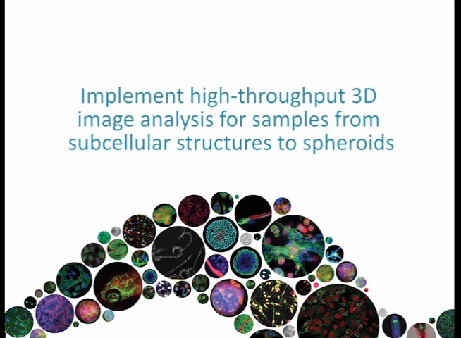 Implement High-Throughput 3D Image Analysis for Samples from Subcellular Structures to Spheroids