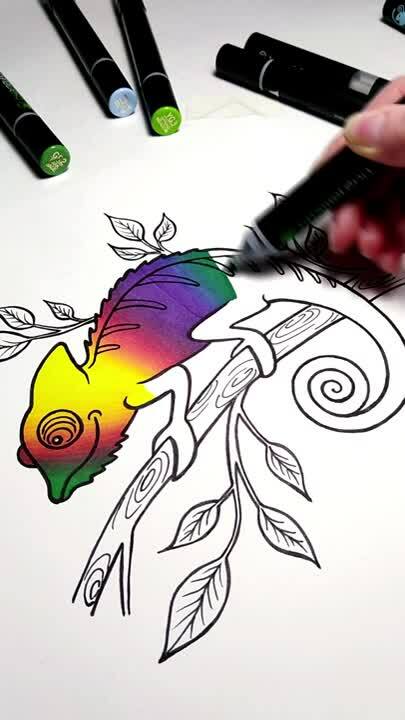 Drawing Rainbow Chameleon Animal Kate Mur