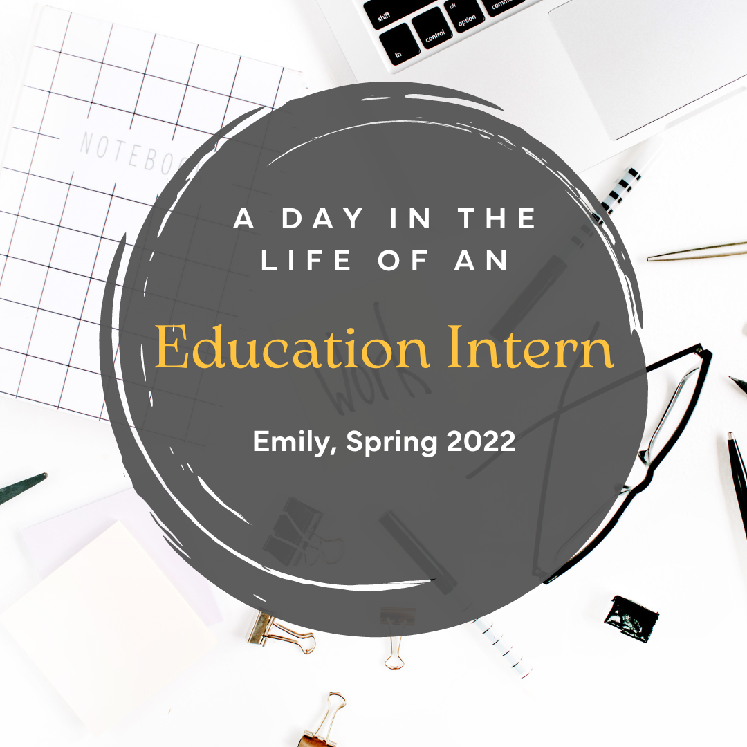 Interns Day in the Life - Emily Pearce