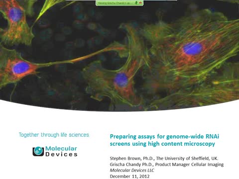 Preparazione di saggi per screening di RNAi sull’intero genoma con la microscopia ad alto contenuto