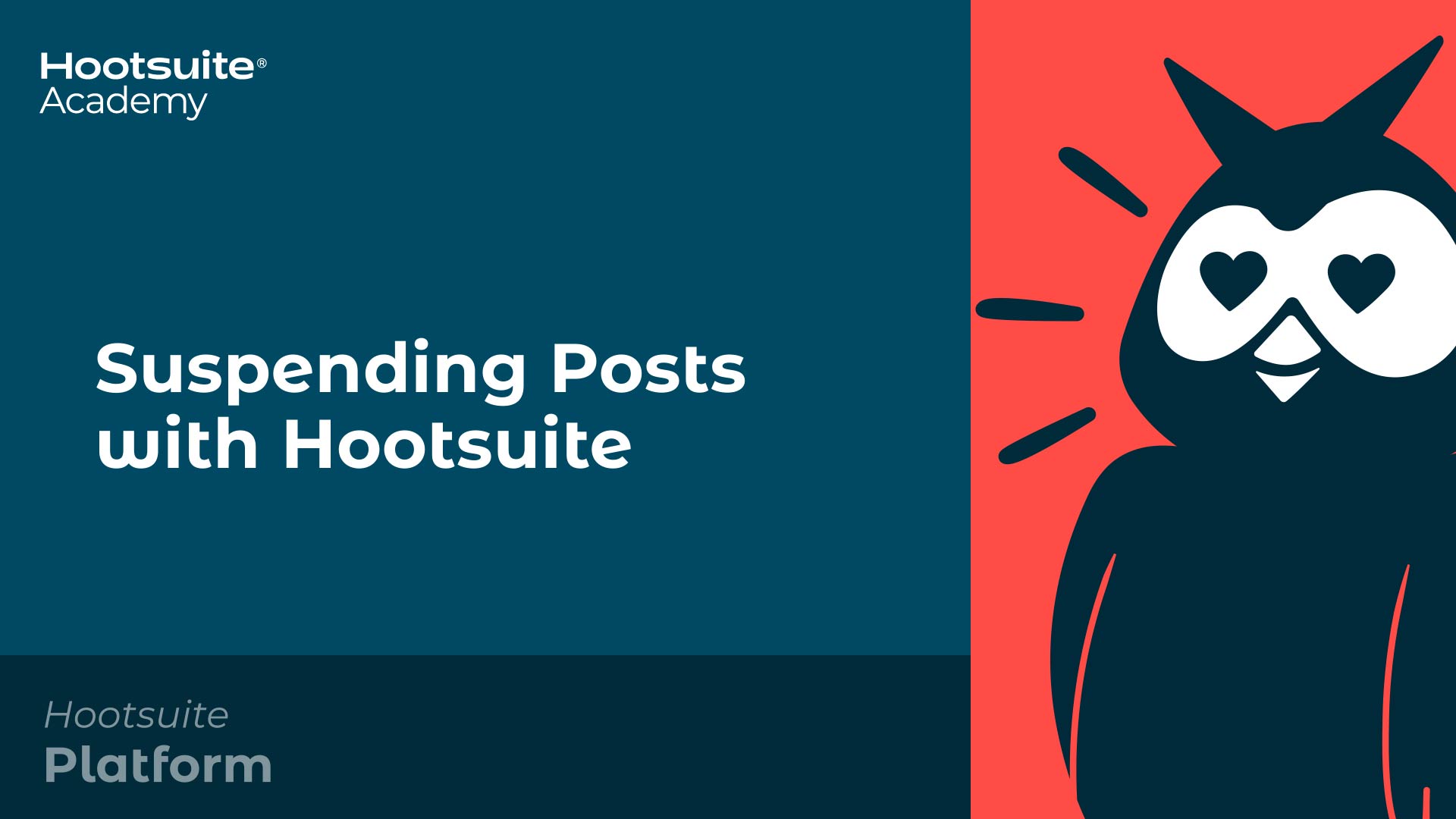 Suspending posts with Hootsuite video