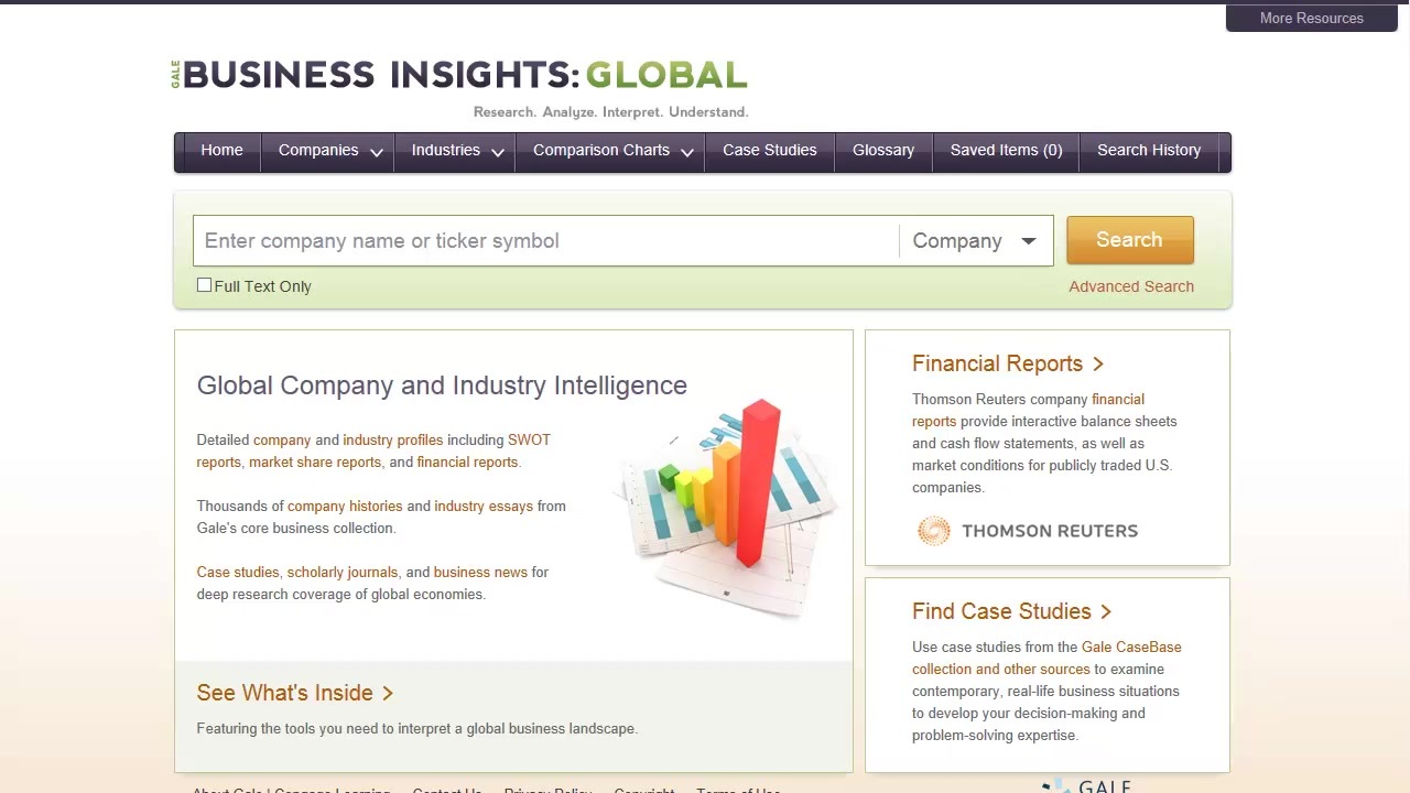 Business Insights: Global - Basics