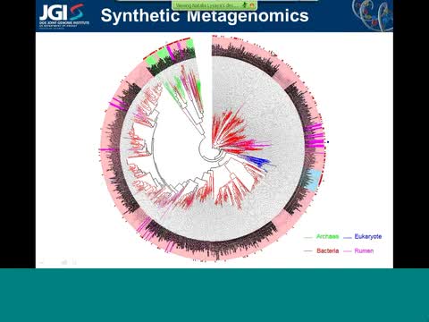Metagenomica sintetica: riconversione di informazioni digitali in dati biologici