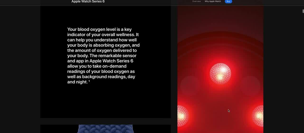 Apple watch information