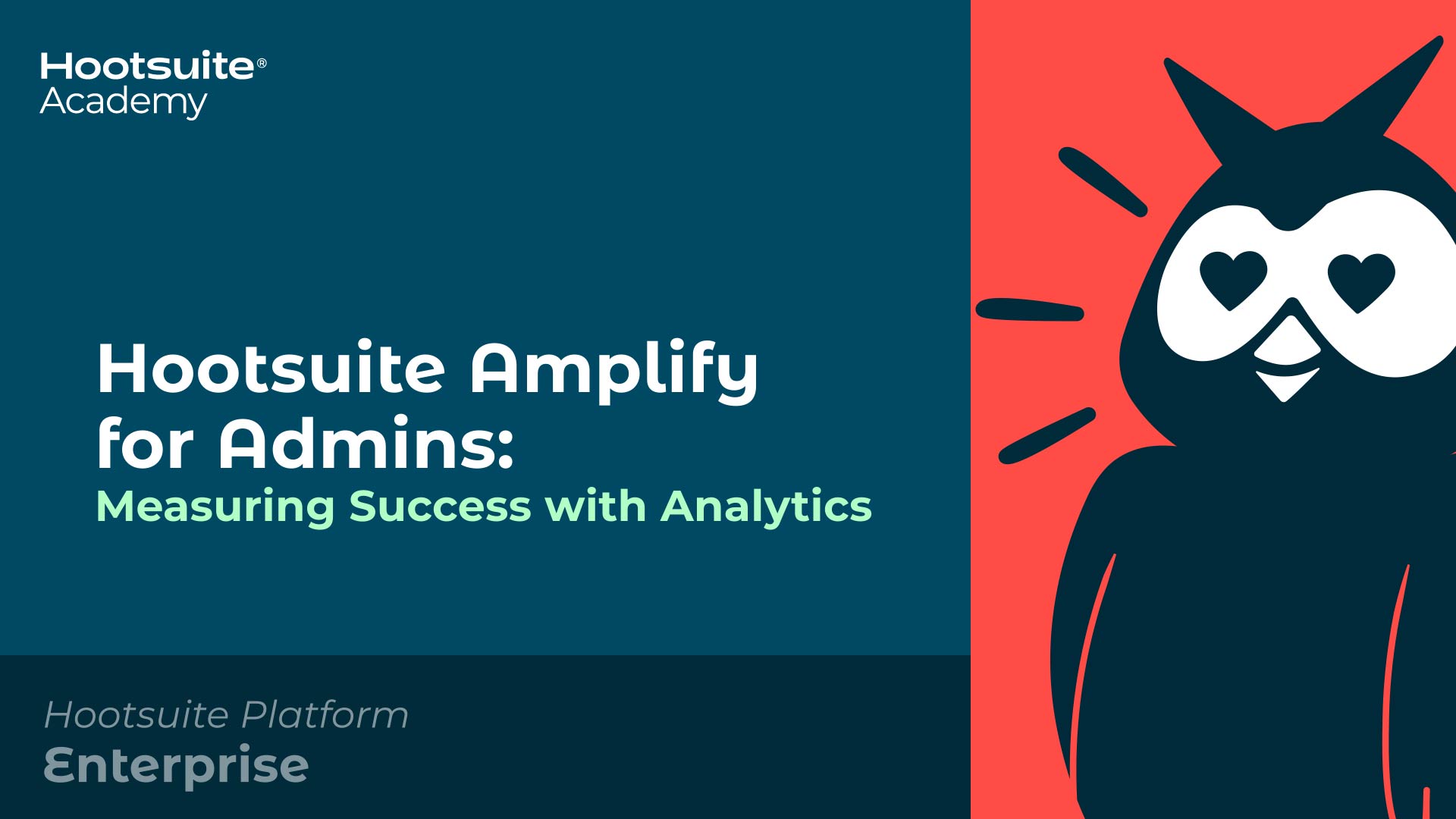 Hootsuite amplify for admins measuring success with analytics video.