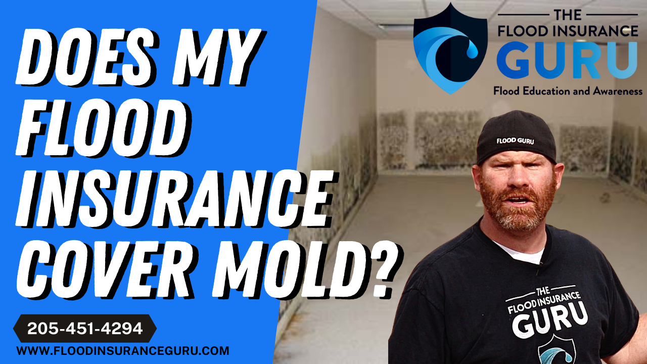 Day 3: Does Flood Insurance Cover Mold Damage?