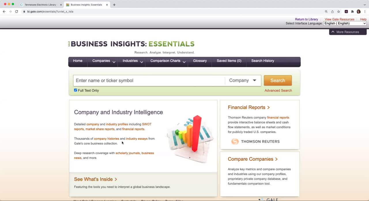 For TEL: Business Series - Gale Business Insights Essentials