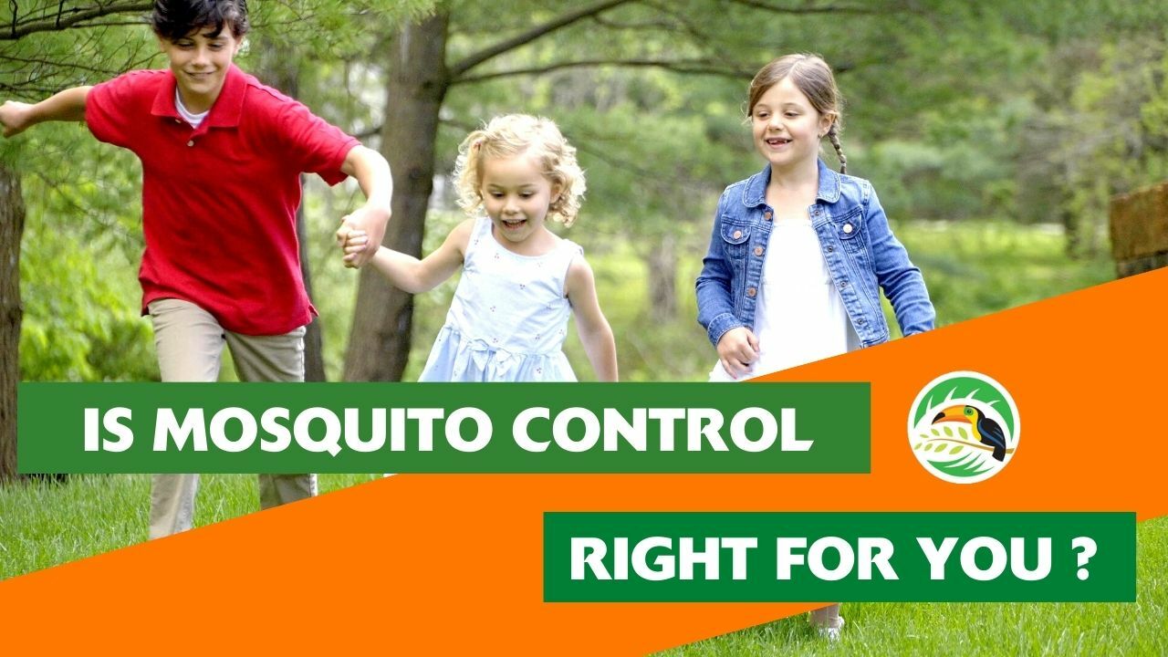 Oasis Turf and Tree - Mosquito Control