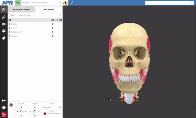 Head and Neck_3D_model in APR