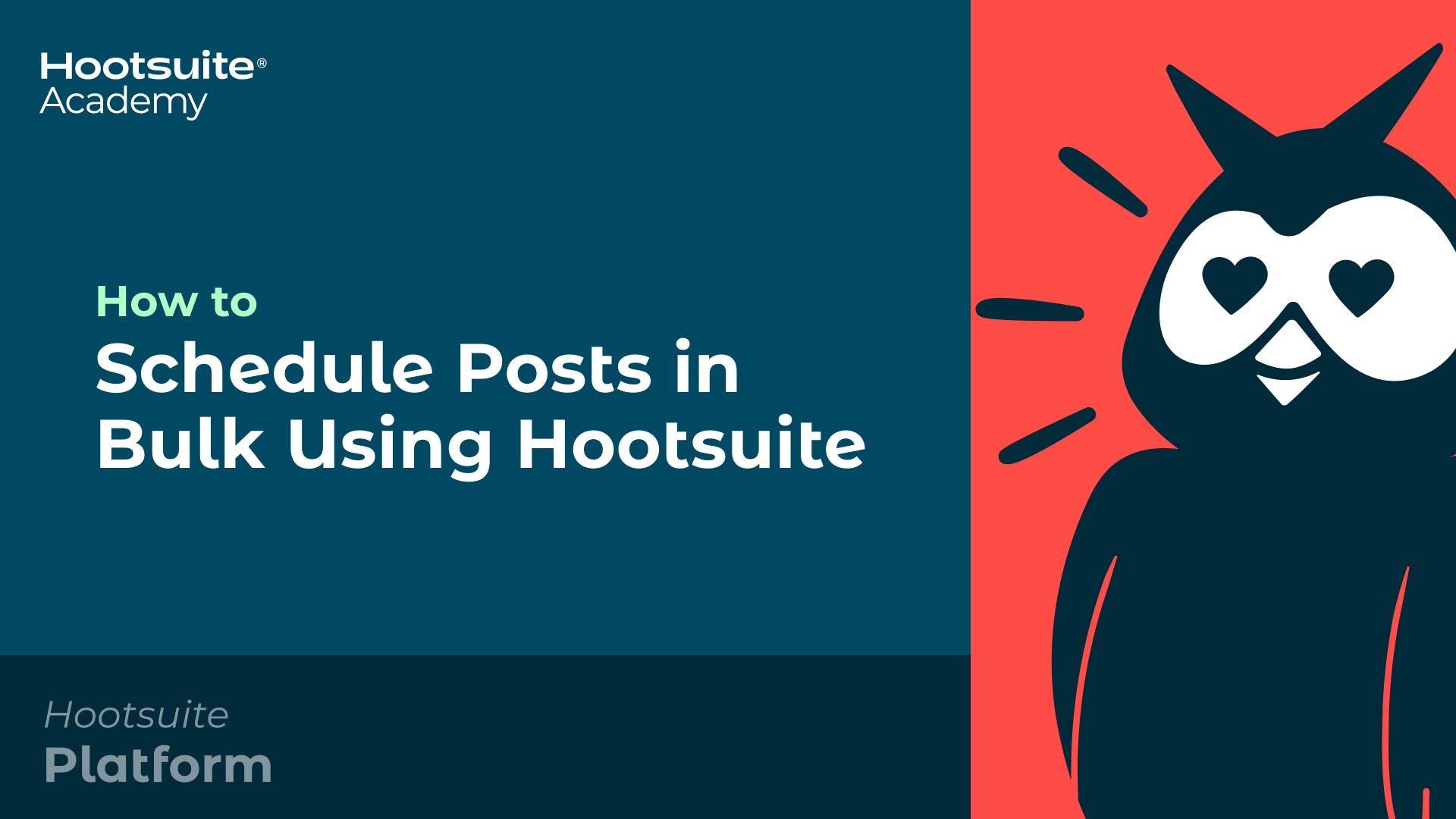Video: How to schedule posts in bulk using Hootsuite.