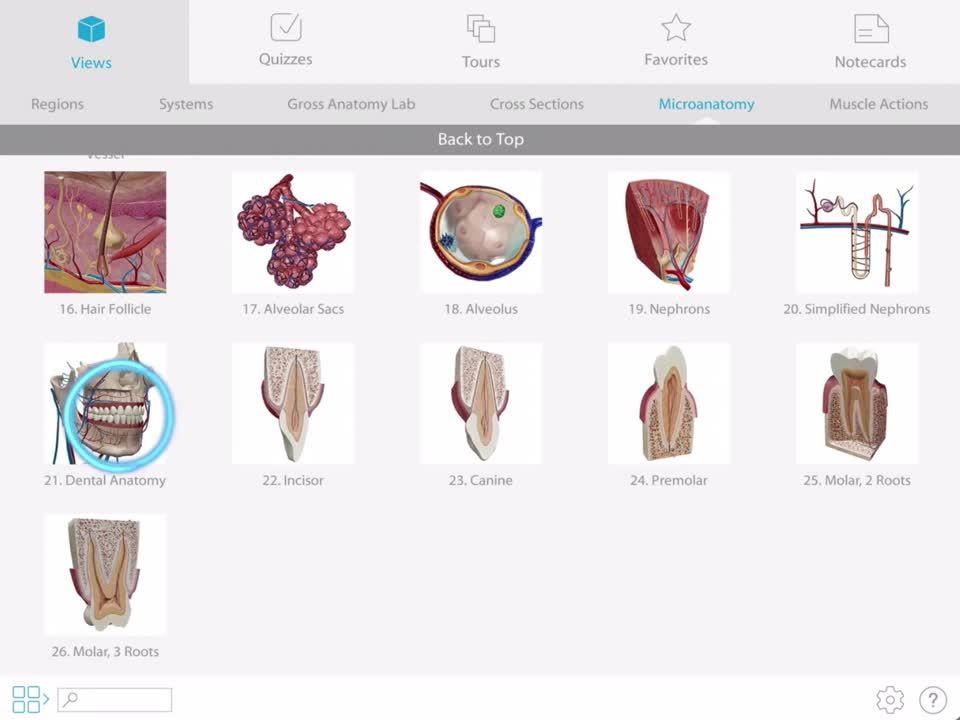 Dental Anatomy iPad