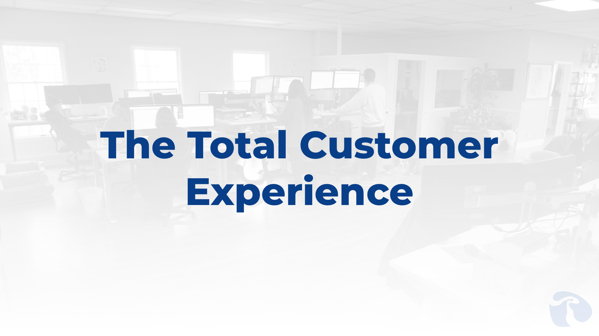 the total customer experience - revenue river