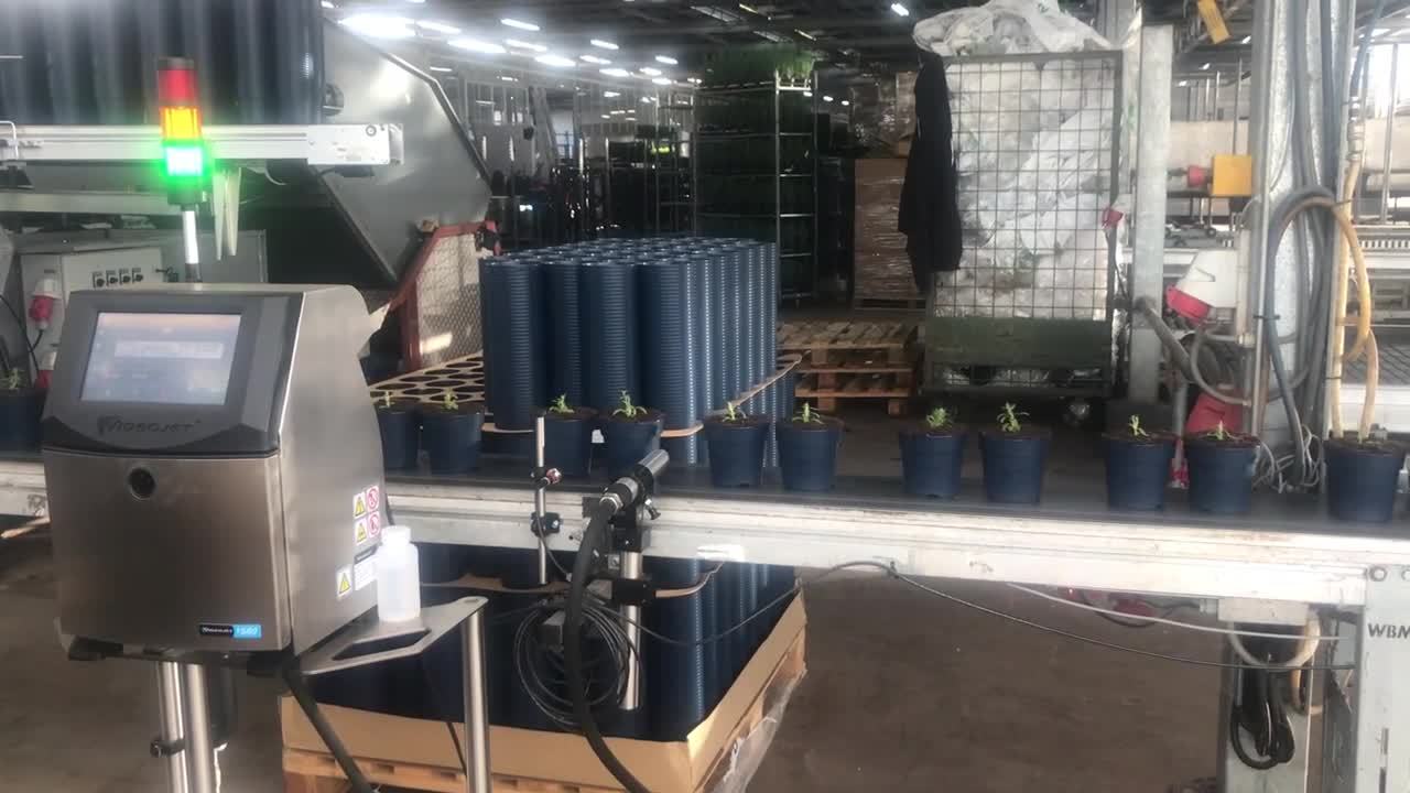 Videojet Continuous Inkjetprinter print plantenpaspoorten bij Van der Salm