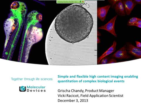 Simple and Flexible High Content Imaging Enabling Quantitation of Complex Biological Events