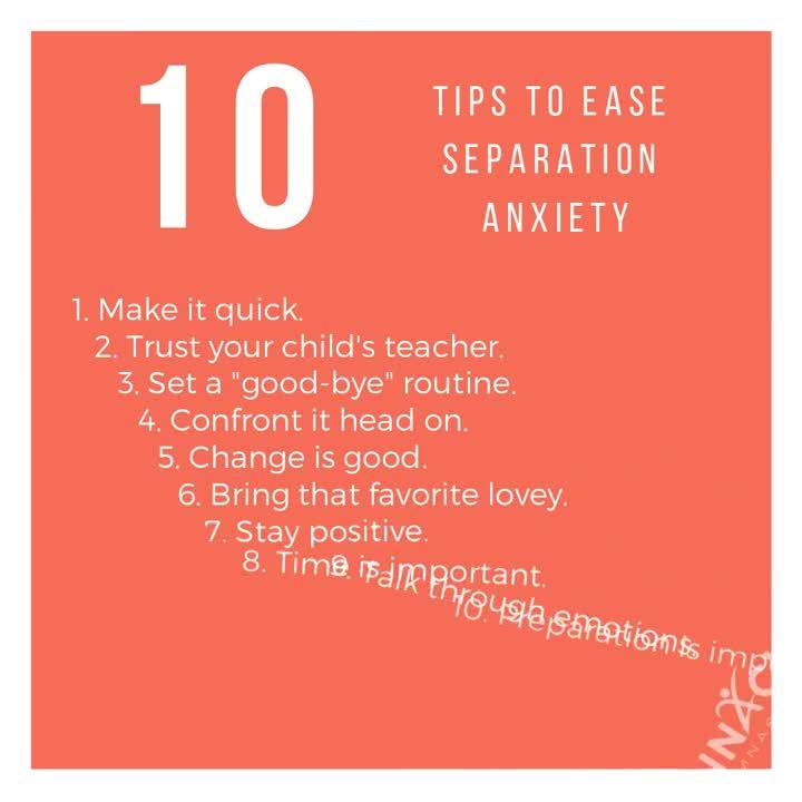 Separation Anxiety Tips