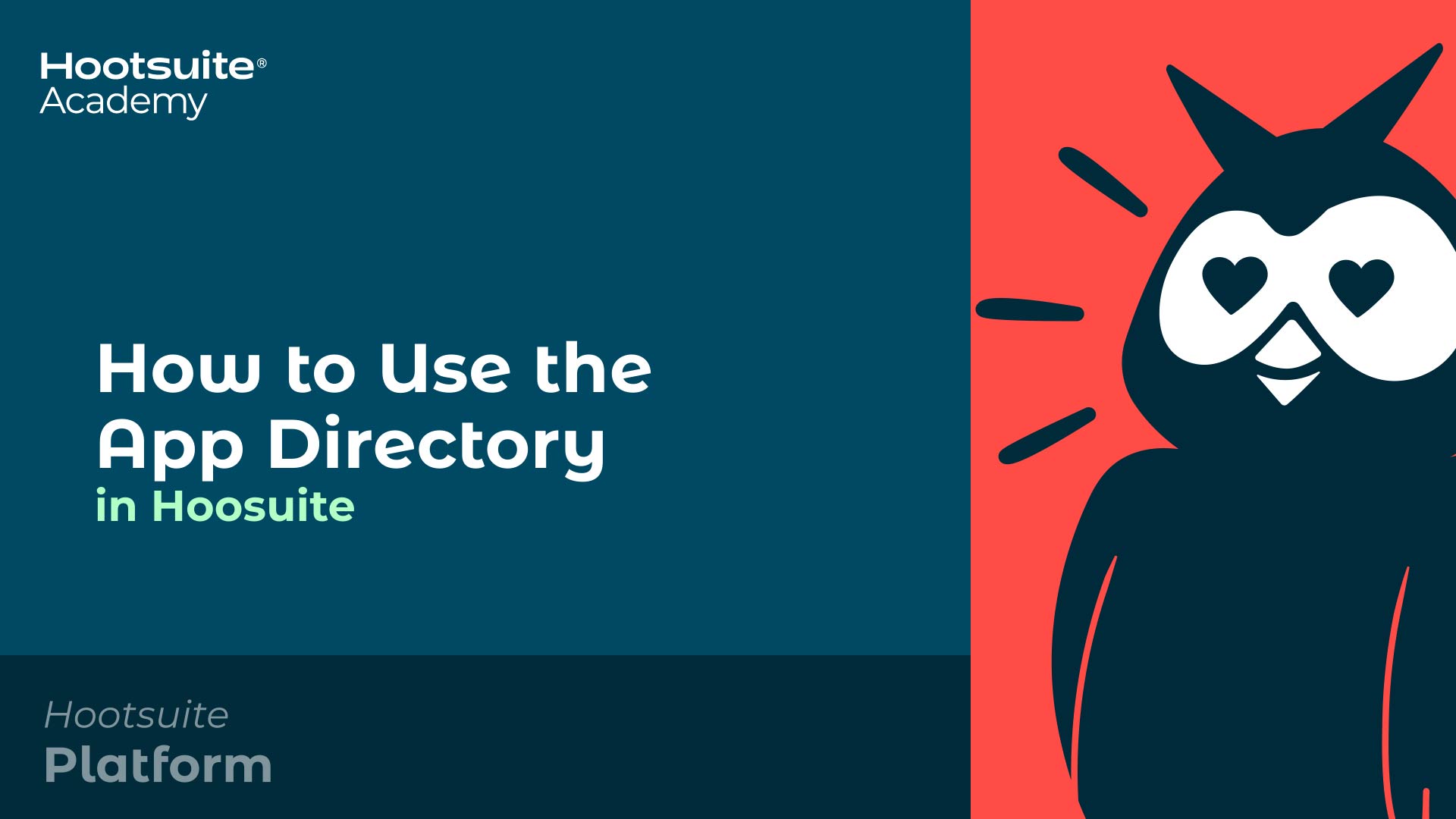 How to use the app directory in Hootsuite video.