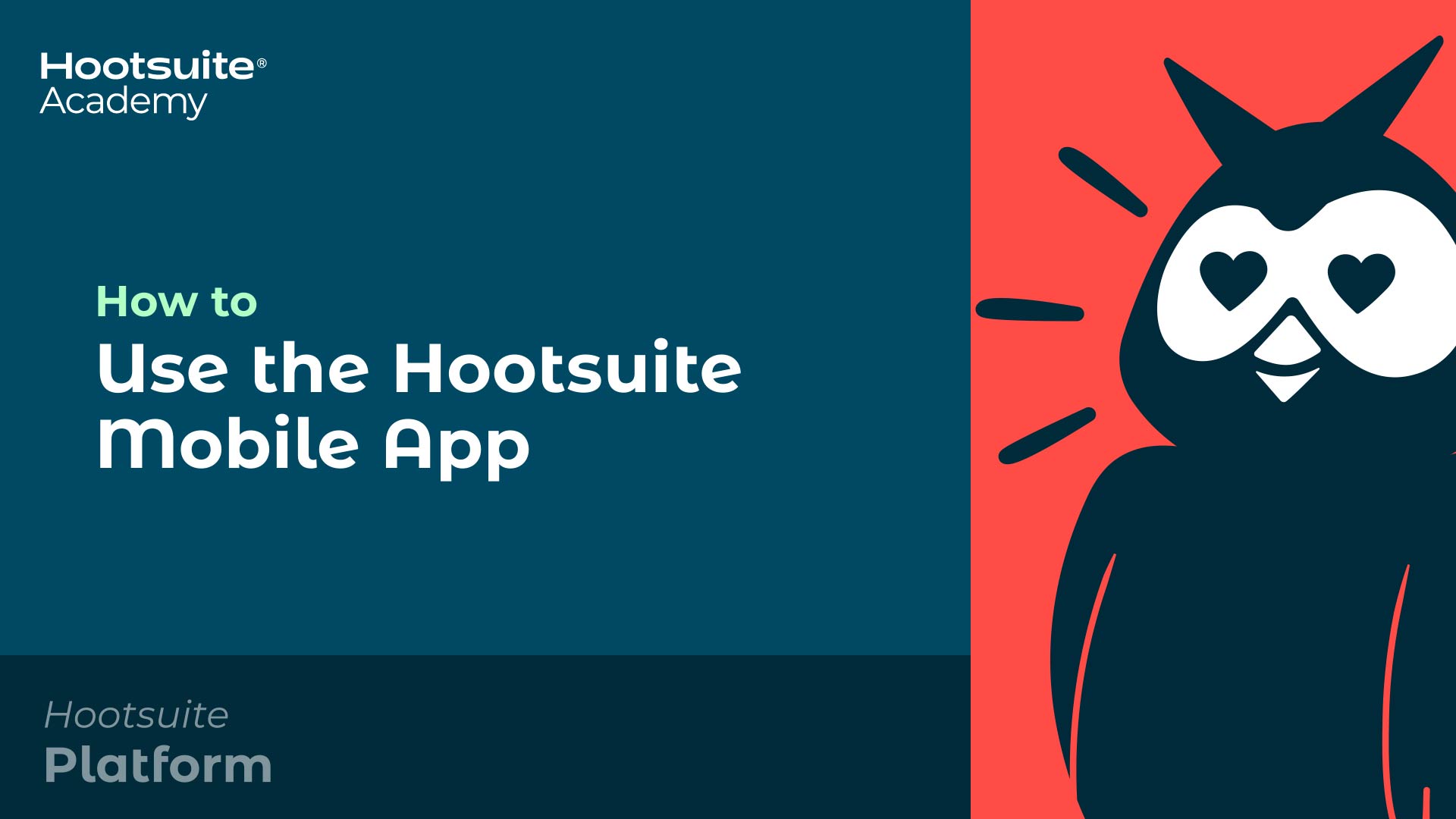 Come utilizzare il video dell'app mobile Hootsuite.