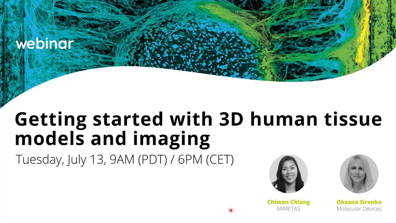 3D Human Tissue Models and Imaging