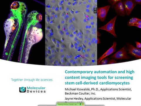 Contemporary Automation and High Content Imaging Tools for Screening Stem Cell-Derived Cardiomyocytes