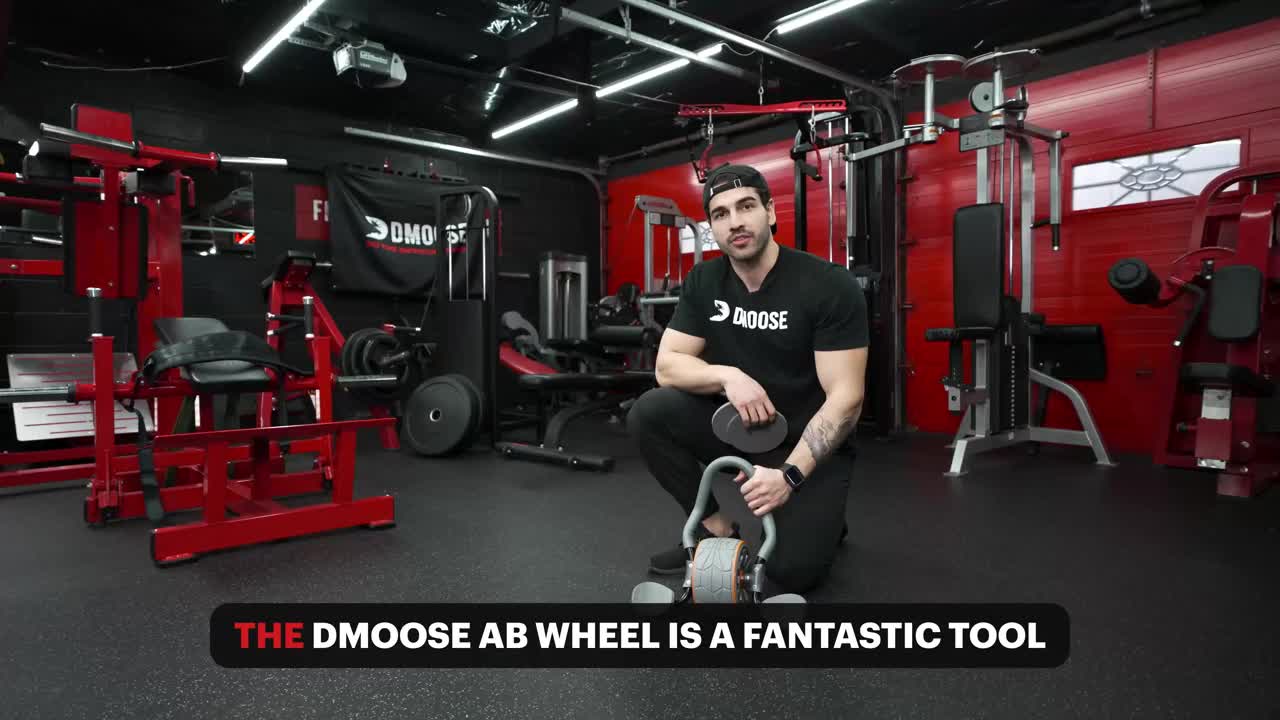Unleash Your Core Strength With Dmoose Ab Roller Today