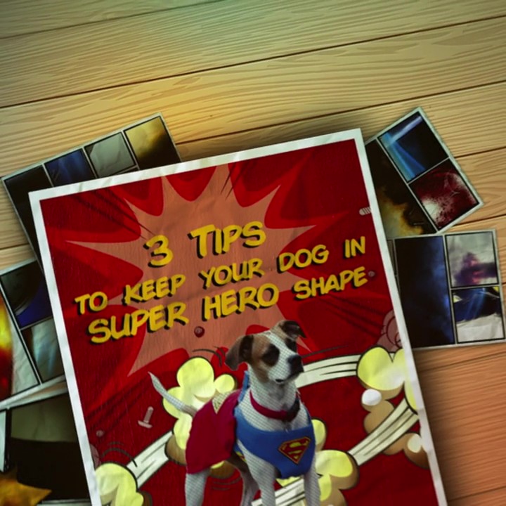 Parnell Glyde_V1_HD 720p_3 Tips to Keep Your Dog in Superhero Shape