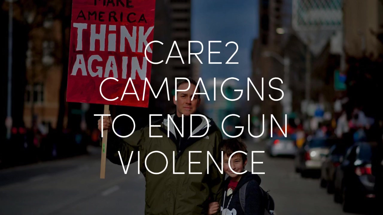 Care2_Campaigns_Against_Gun_Violence
