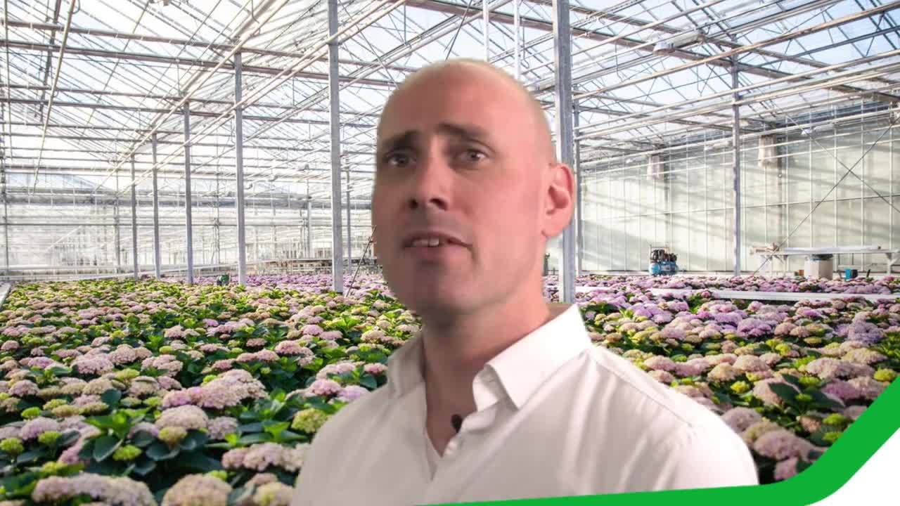 Potplanten korte video website teeltplannen [ juiste tijd]