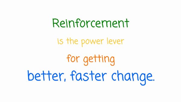 Change Management Solutions- Developing a Reinforcement Strategy Using AIM-1