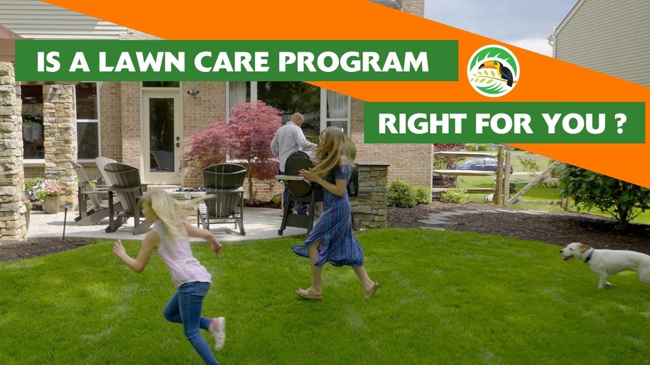 Oasis Turf and Tree - Lawn Care