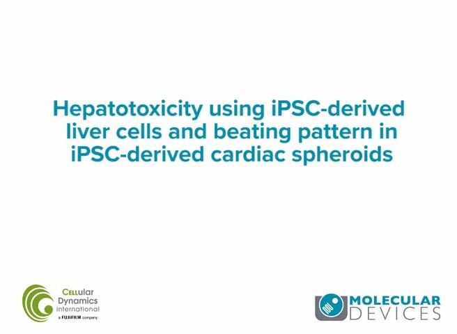 Hepatotoxicity Using iPSC-Derived Liver Cells and Beating Pattern in iPSC-Derived Cardiac Spheroids