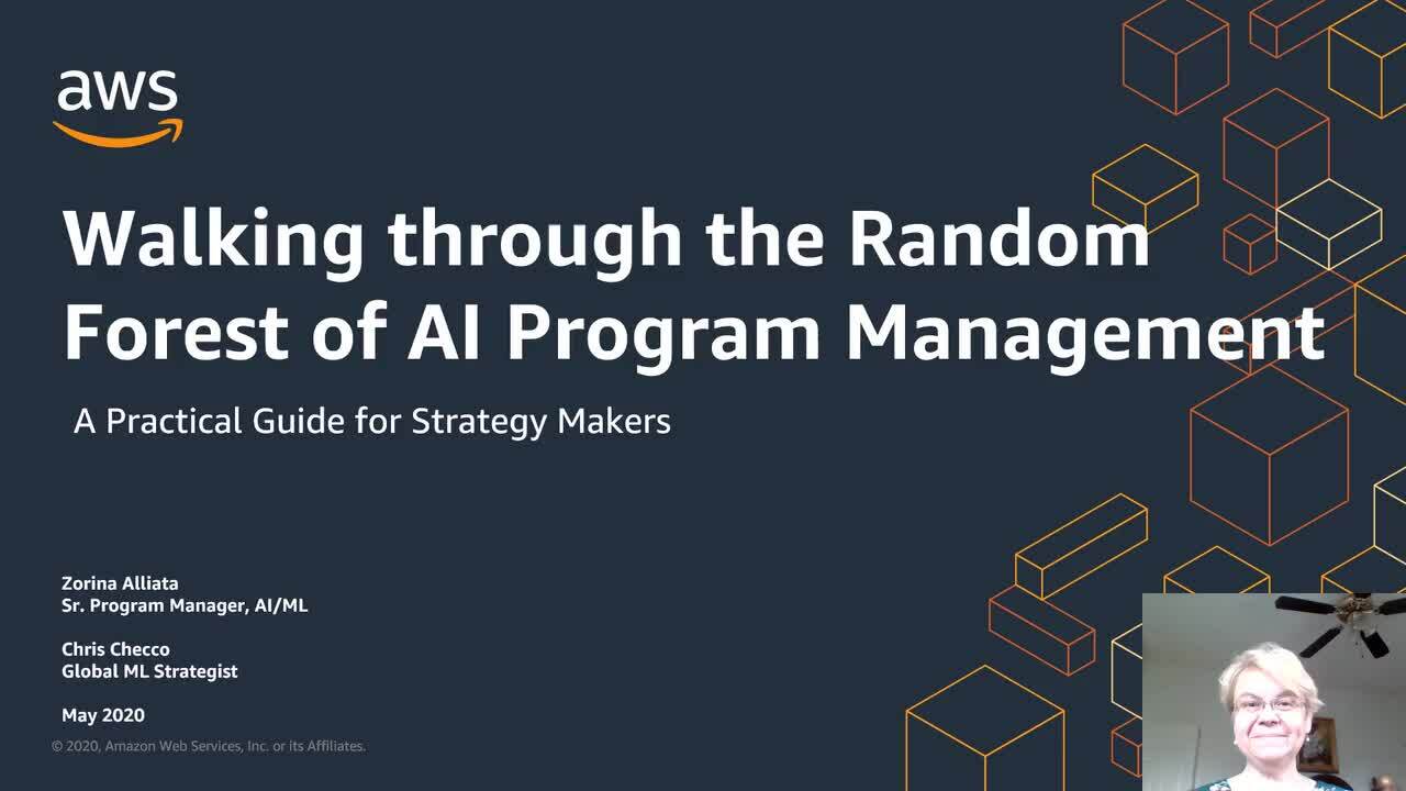Walking through the Random Forest of AI Program Management - A Practical Guide for Strategy Makers