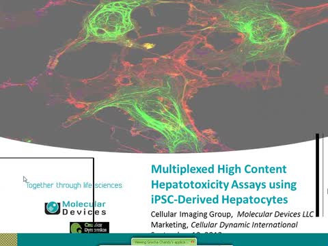 Multiplexed High Content Hepatoxicity Assays Using iPSC-Derived Hepatocytes