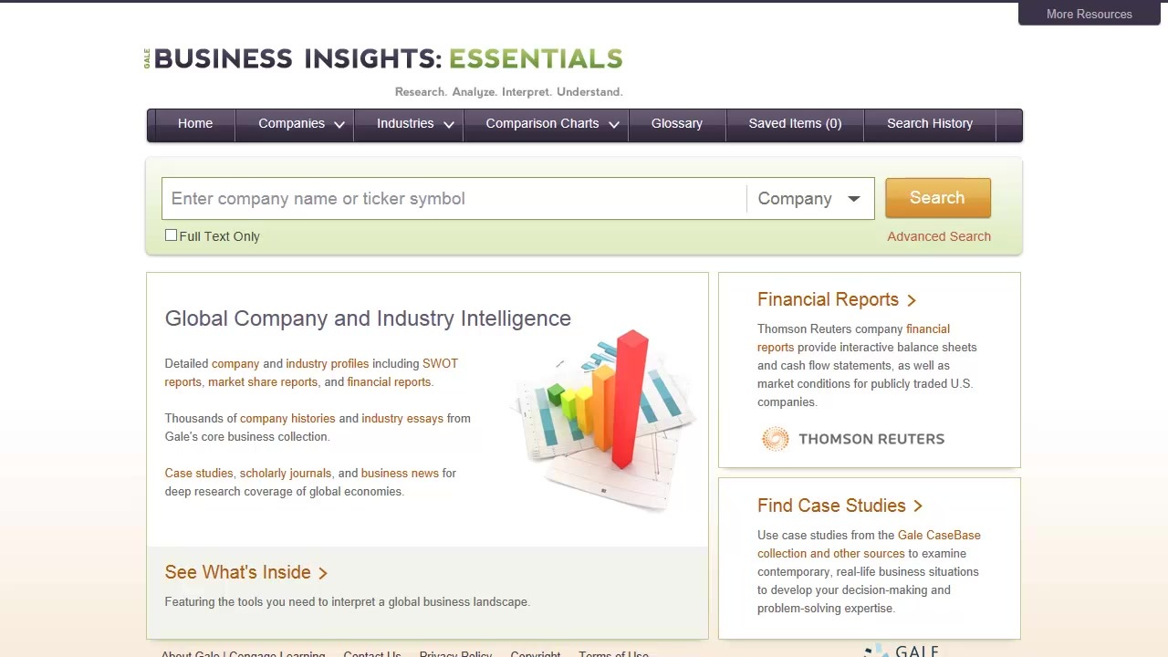 Business Insights: Essentials - Basics