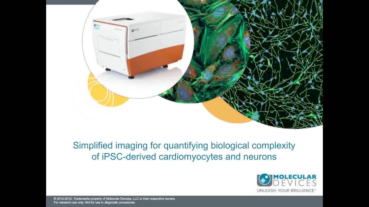 Simplified Imaging for Quantifying Biological Complexity of iPSC-Derived Cardiomyocytes and Neurons