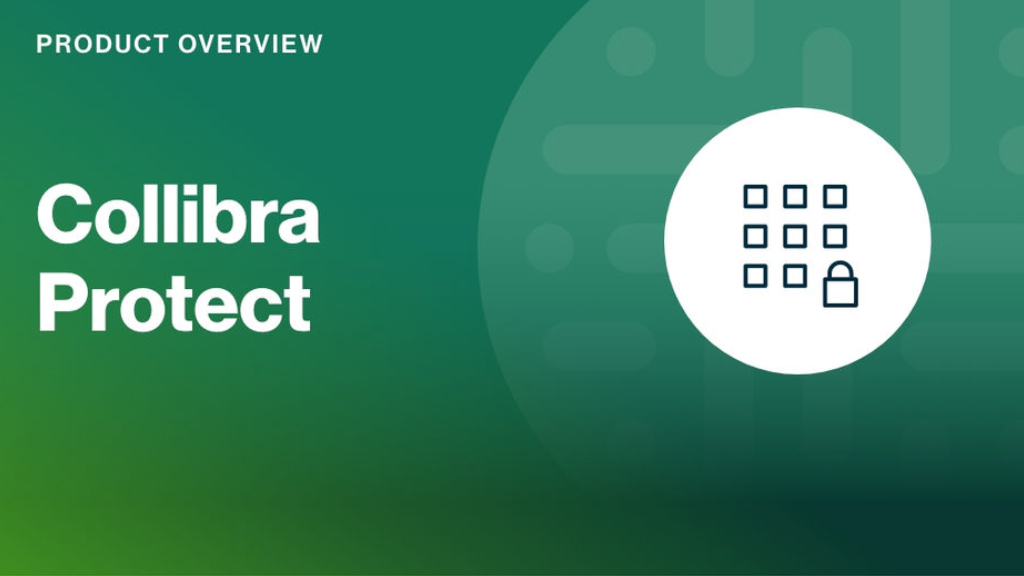 Load video: Collibra Protect: product overview