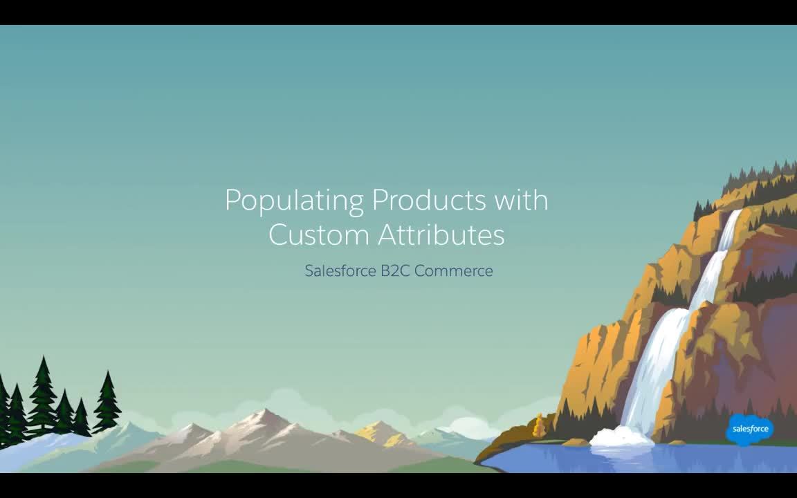 Populate products with your custom attribute