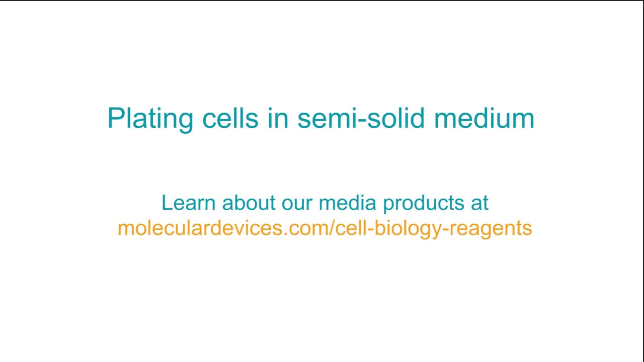 Preparing and Plating Cells in Semi-Solid Medium
