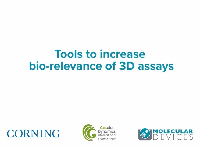 Tools to Increase Bio-Relevance of 3D Assays
