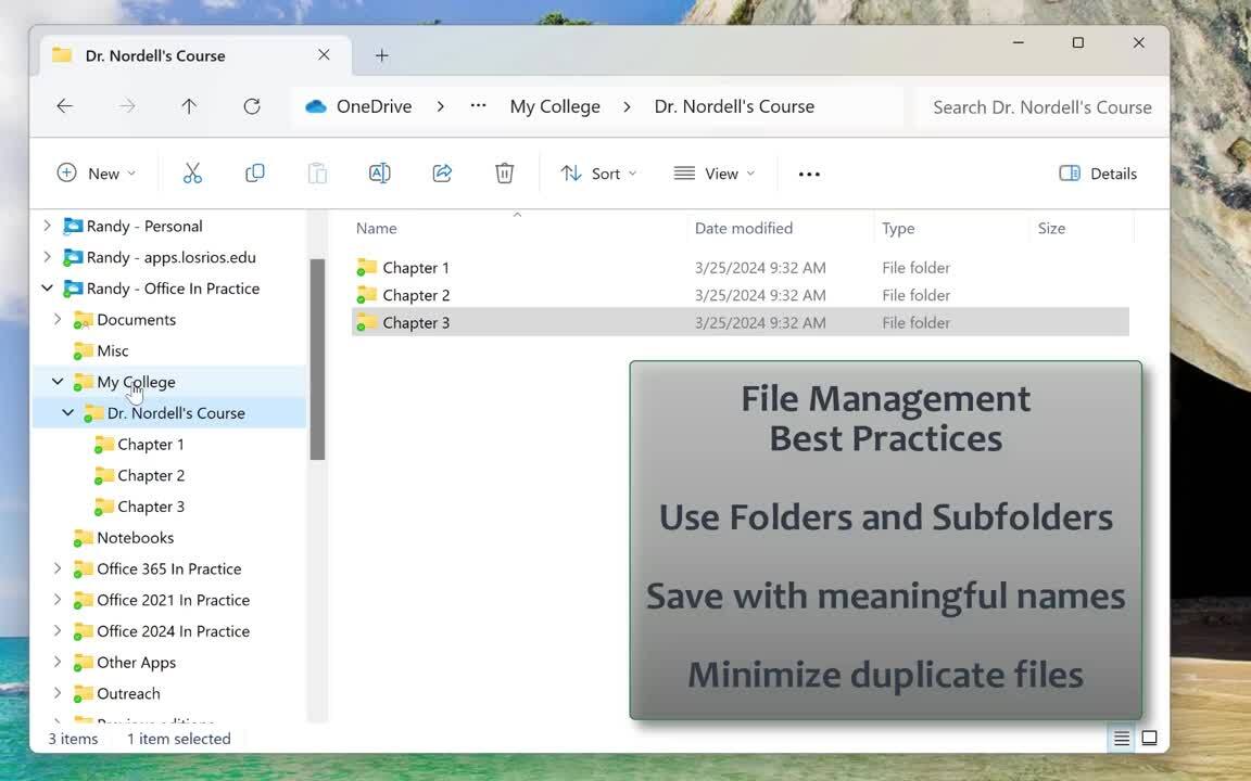 File Management Best Practices 