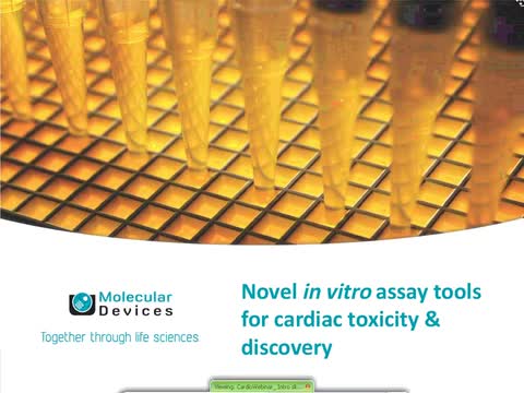 Novel in Vitro Assay Tools for Cardiac Toxicity and Discovery