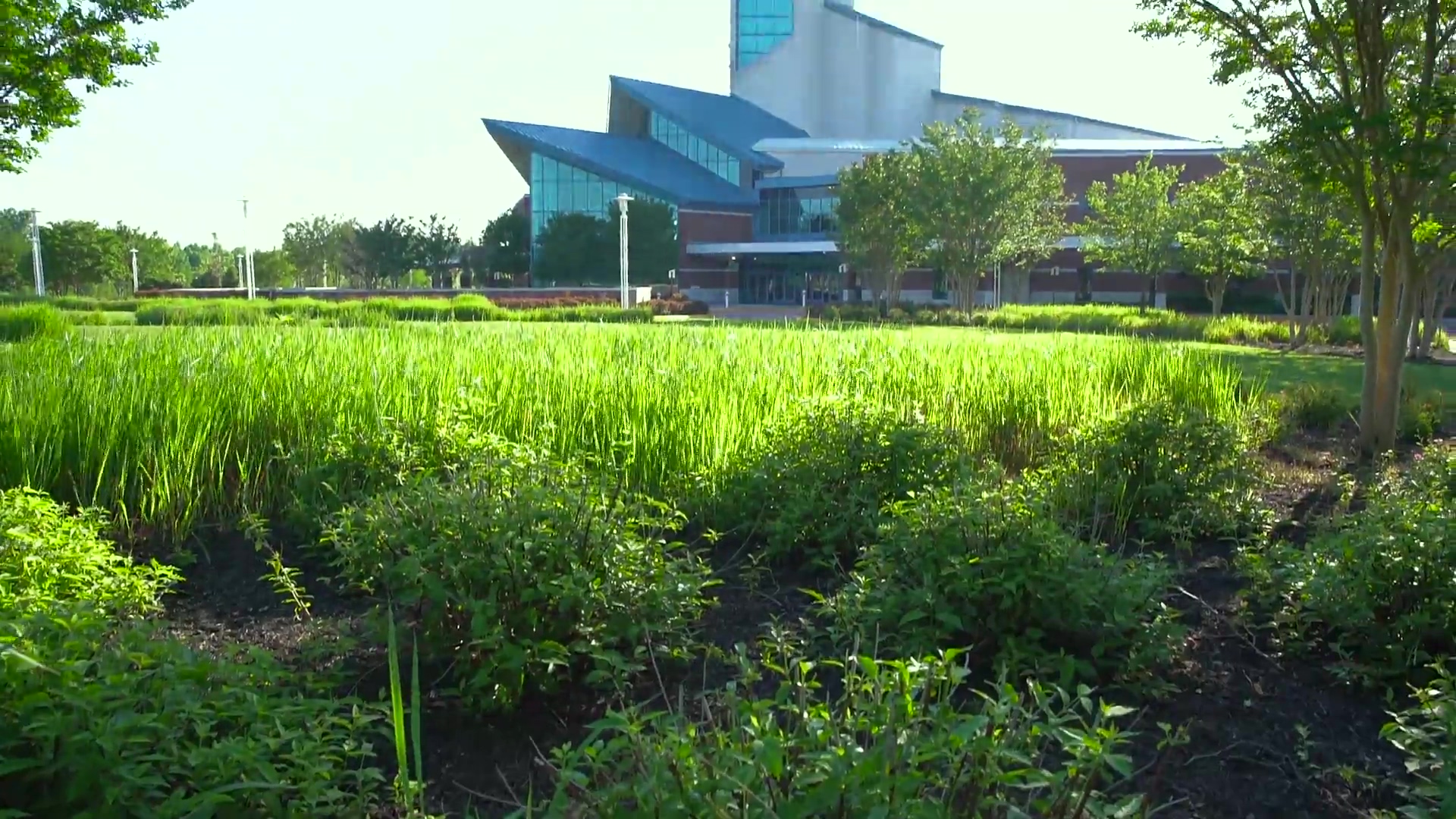 Level Green  Landscaping- First Baptist testimonial case study video
