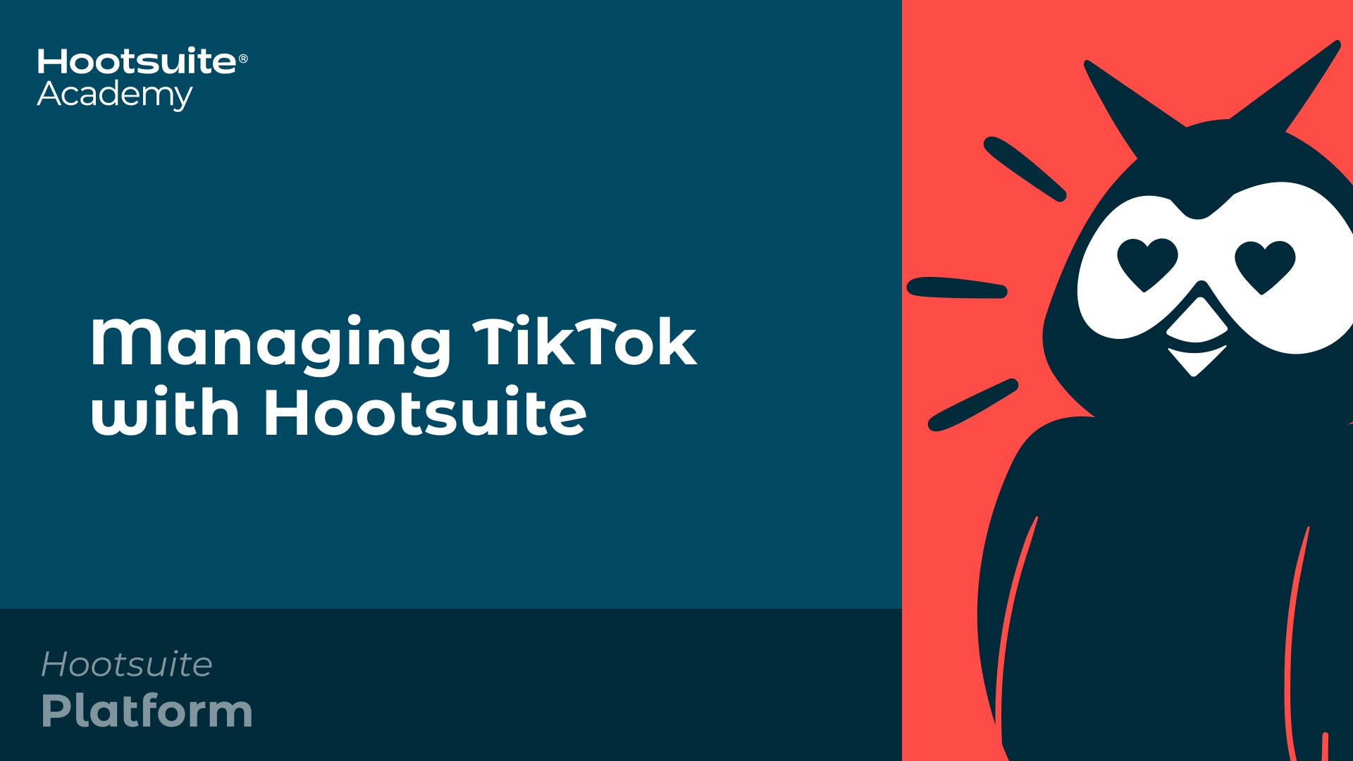 Vídeo: Administrar TikTok con Hootsuite.