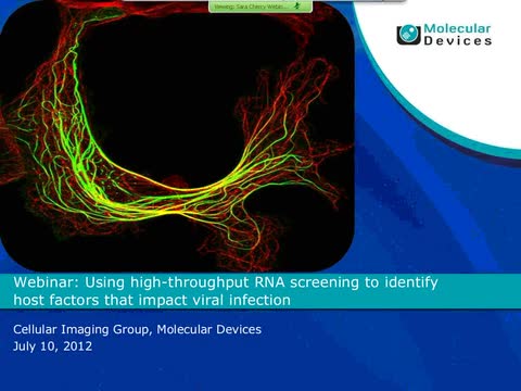 Using High-throughput RNA Screening to Identify Host Factors That Impact Viral Infection