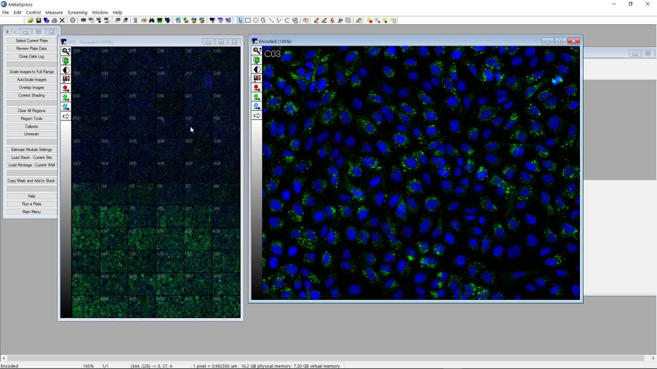 Basic workflow from image acquisition to analysis on the ImageXpress Micro Confocal using MetaXpress