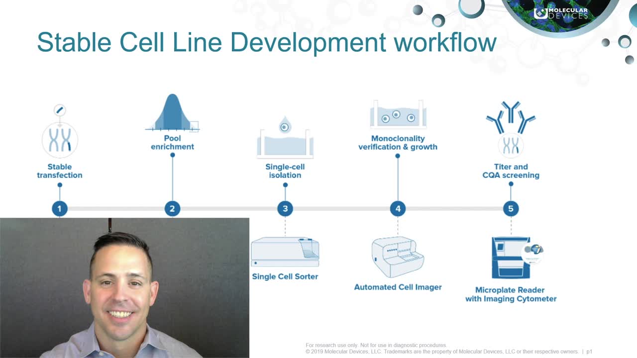 Stable Cell Line Development Workflow