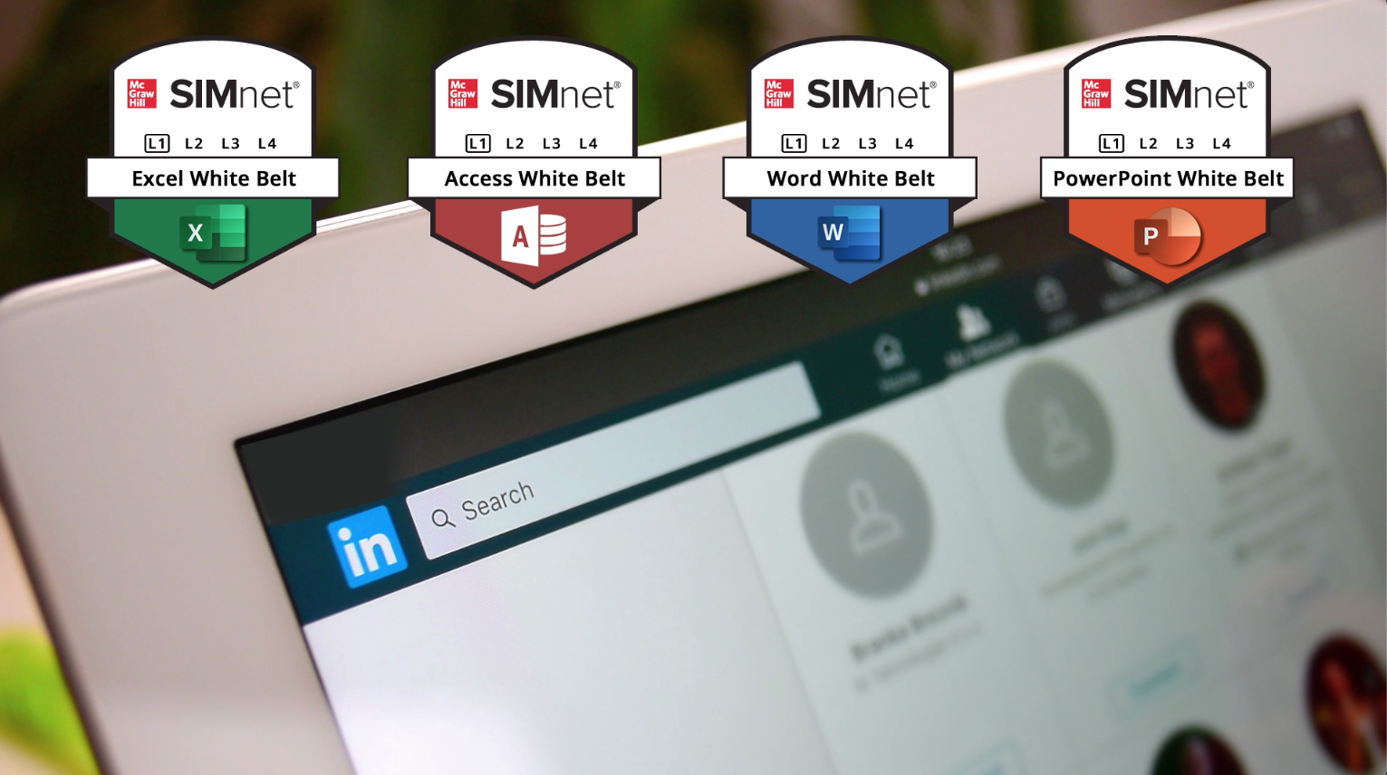 SIMnet: Training and Assessment for Microsoft Office Applications